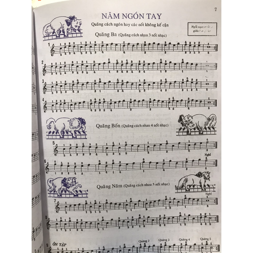 Phương Pháp Học Đàn Piano Vỡ Lòng - Methode Rose