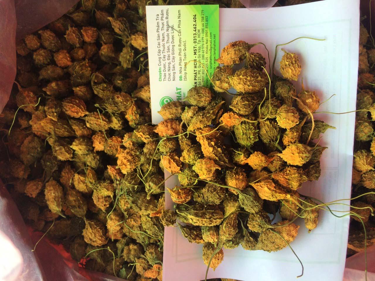 Khổ qua rừng 500g cao cấp - Hàng công ty chất lượng cao - Chuyên dùng để pha trà và sắc nước uống