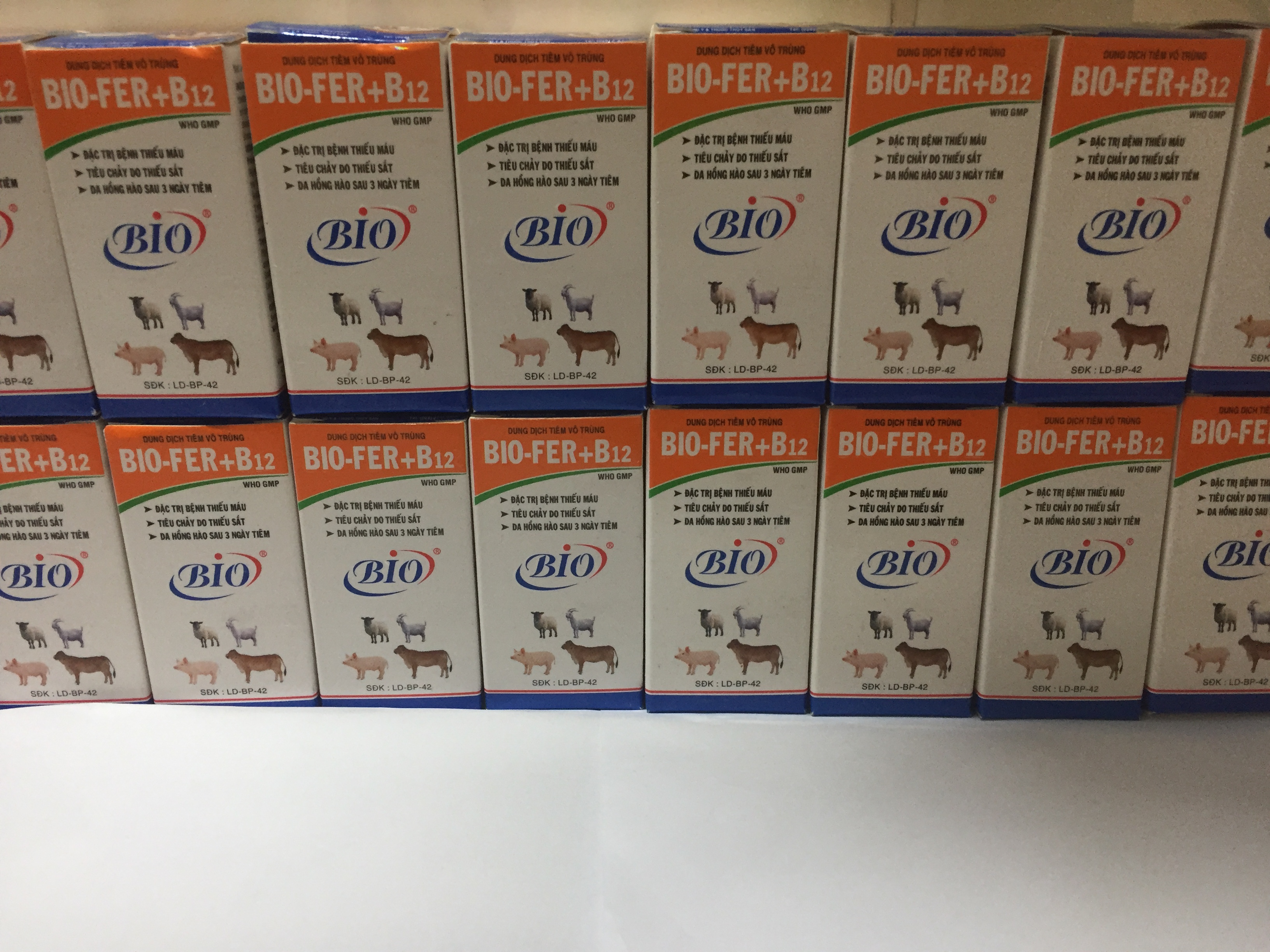 BIO-FER+B12 20ml. BỔ SUNG SẮT CHO HEO CON, BÊ NGHÉ