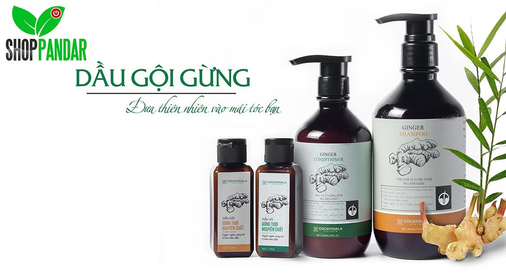 COMBO 01 DẦU GỘI ĐẦU GỪNG + 01 DẦU GỘI XẢ GỪNG tốt nhất