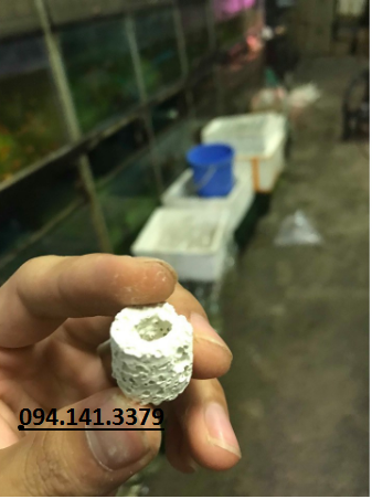 Sứ Lọc Hồ Cá Bịch 200g - Sứ Lọc Bể Cá