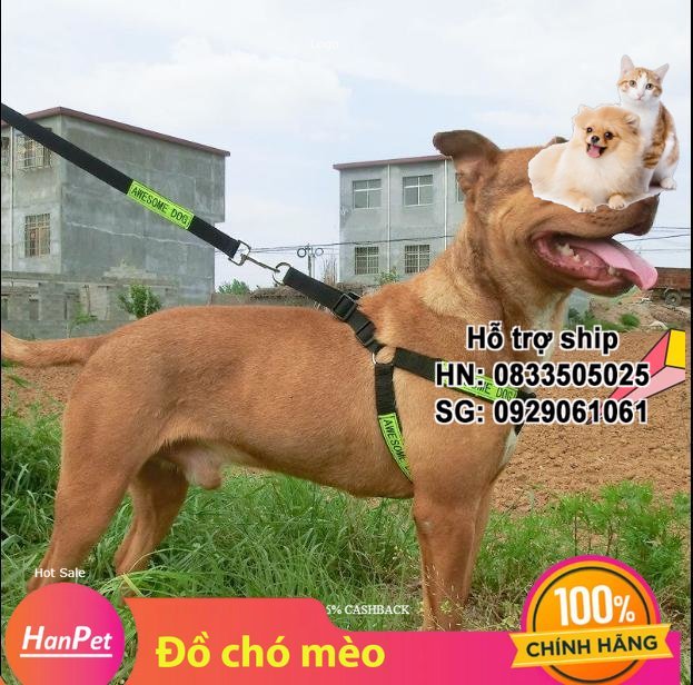 Hanpet - Dây dắt chó police dog phản quang - dây dắt kèm yếm đai yên ngựa cho chó nghiệp vụ / Cảnh khuyển