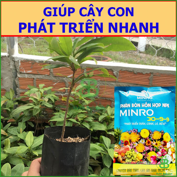 200Gr Phân Bón NPK Phát Triển Thân Lá Cành MINRO 30-9-9