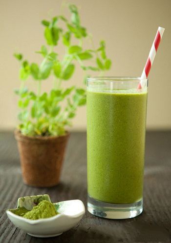 Sốt Golden Farm Matcha Chai 630gr