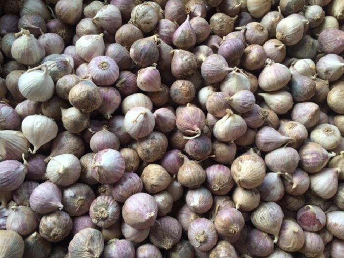 1Kg Tỏi Cô Đơn Phan Rang làm tỏi đen