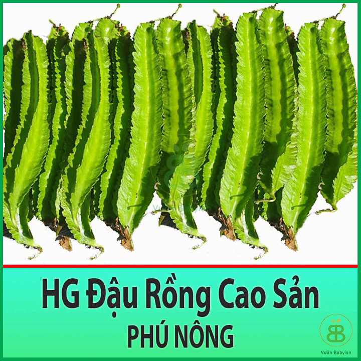 Hạt Giống Đậu Rồng Cao Sản 10Gr