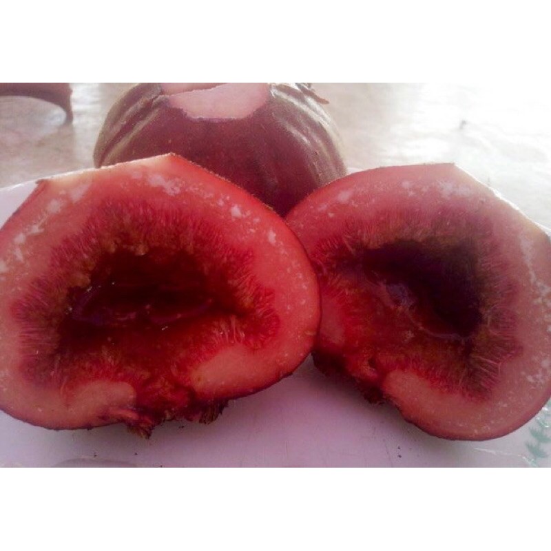 Cây Vả Mật n