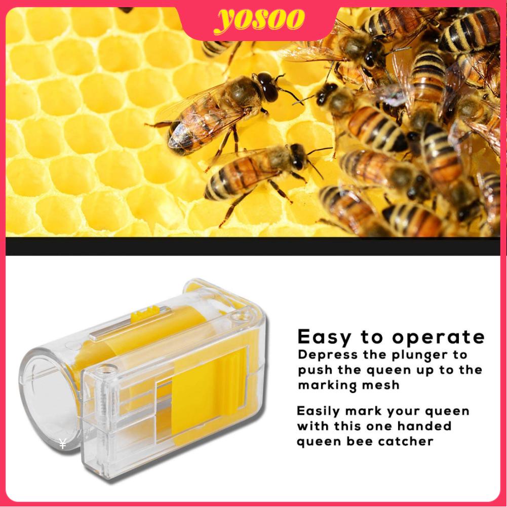 Bee Queen Marking Catcher Plastic One Handed Marker Bottle Plunger Plush Beekeeper Tool
