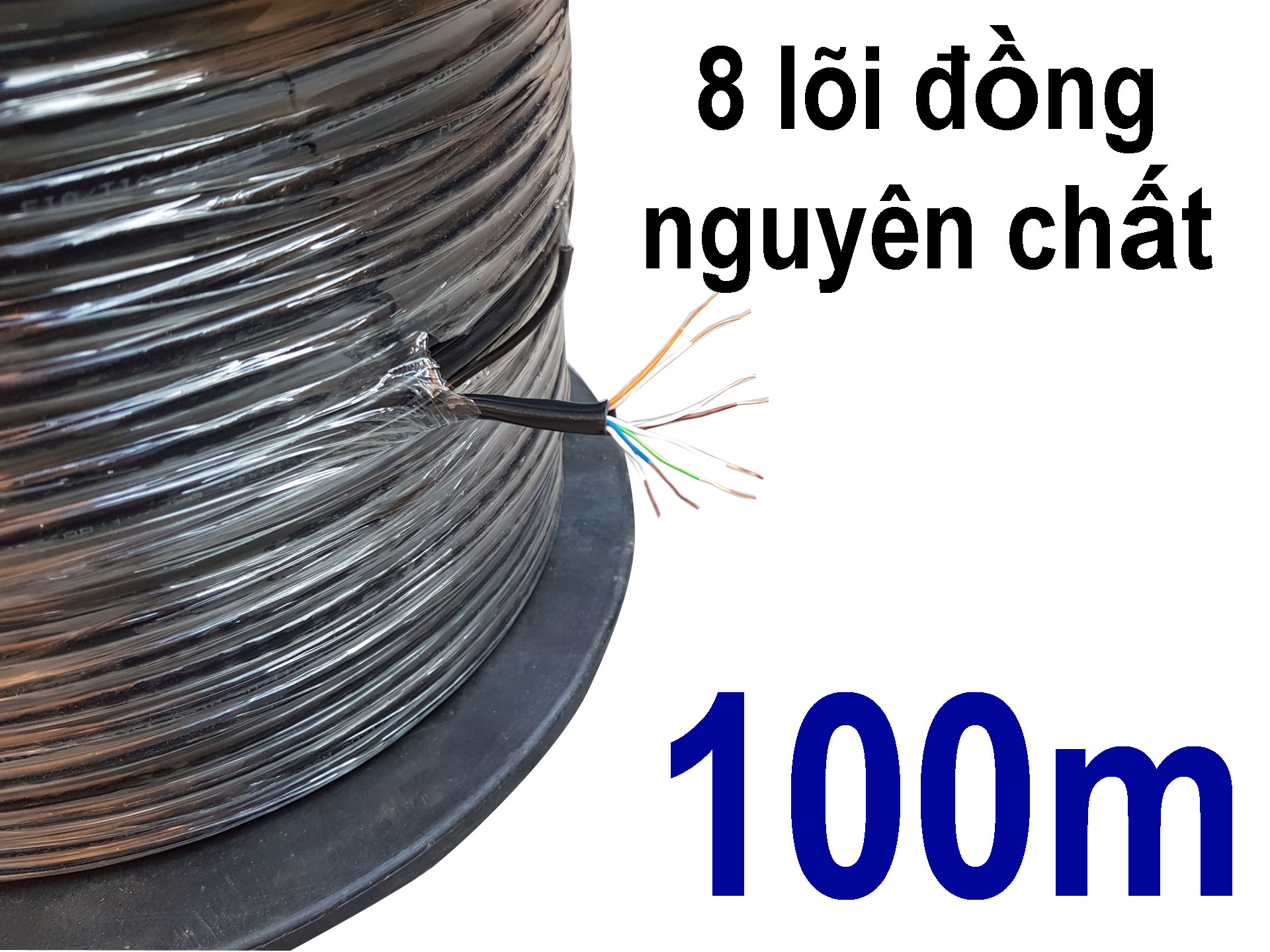 Cuộn 305m Dây mạng ngoài trời 8 lõi đồng nguyên chất có cáp treo dây Cáp mạng ngoài trời, Cáp lan ngoài trời, Cáp internet ngoài trời
