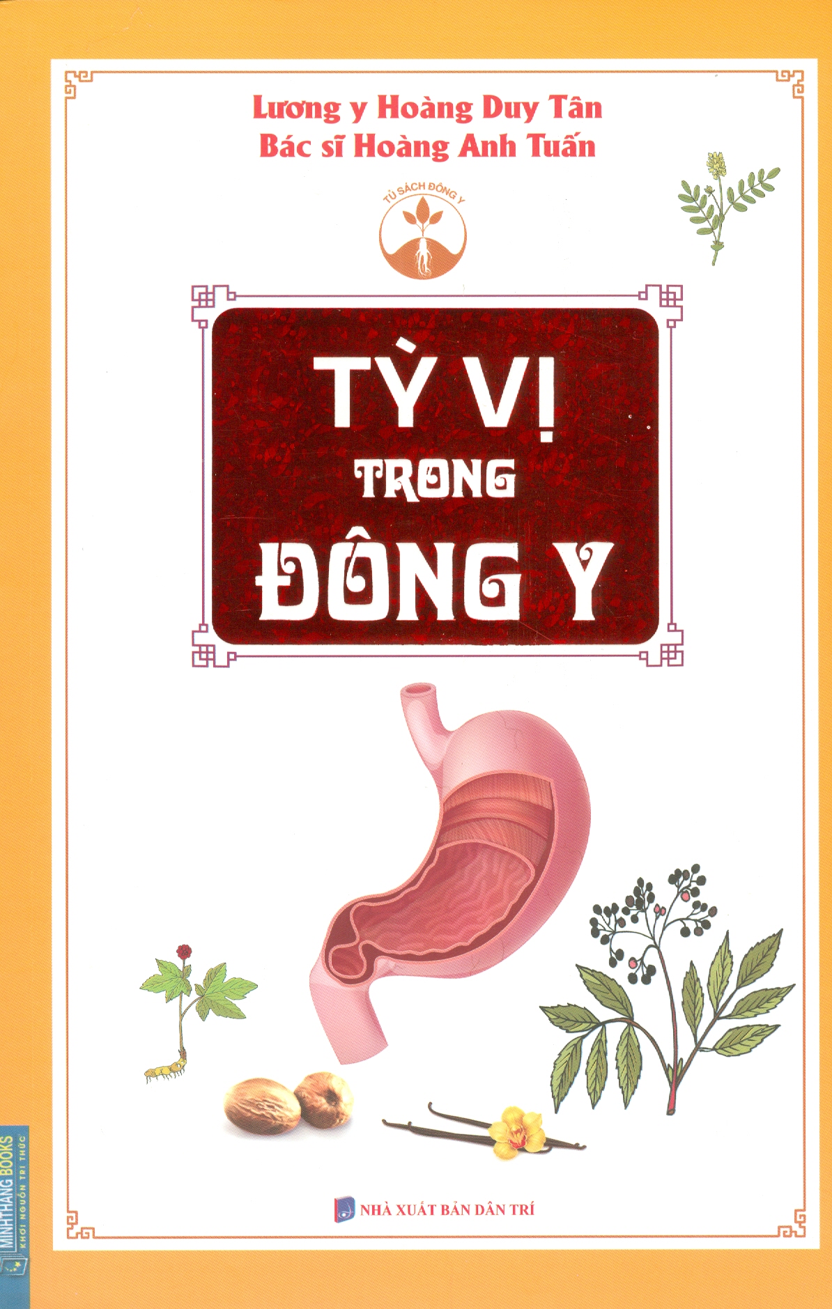 Tỳ Vị Trong Đông Y