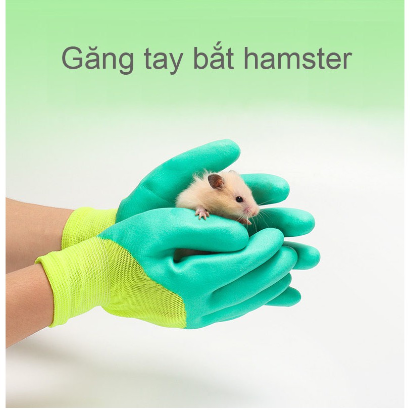 [Hoàn tiền 10%]Găng tay bắt hamster