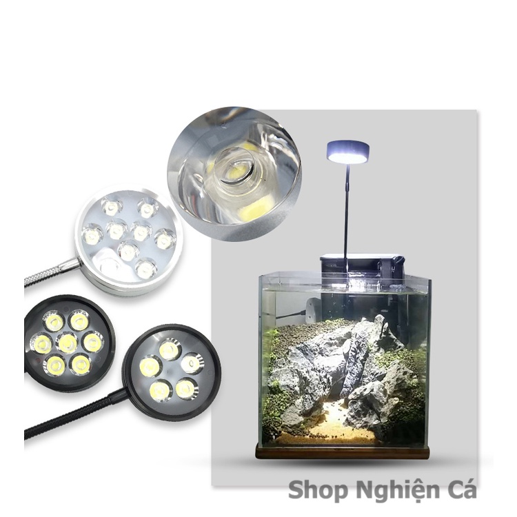 Đèn đế gỗ, đèn led rọi hồ cá, đèn đế gỗ cho bình terrarium