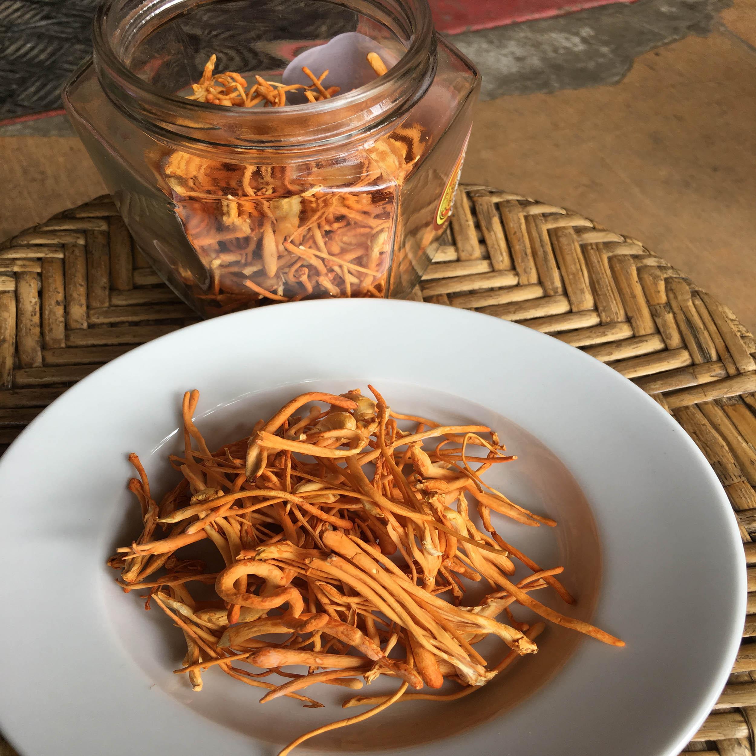 Đông Trùng Hạ thảo Khô 10g