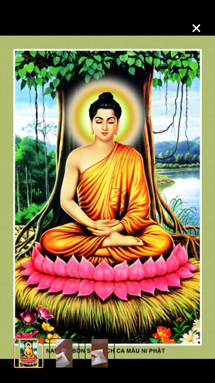 [HCM]Tranh Dán Tường Phật Thích Ca Kim Sa Kt: 65x100cm