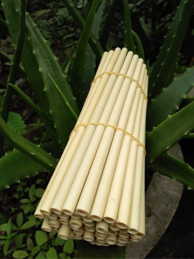 Ống hút tre 20cm (10 ống) -bamboo straw