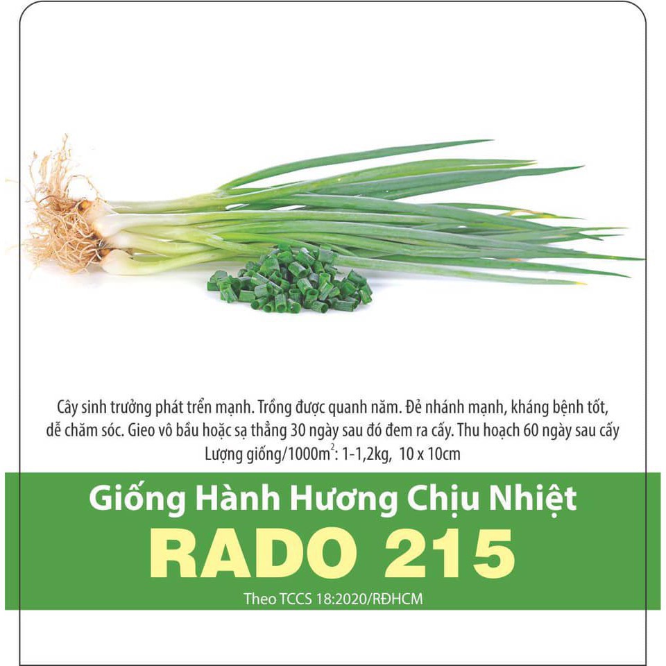 Hạt giống hành hương chịu nhiệt Rado 215 - gói 2g