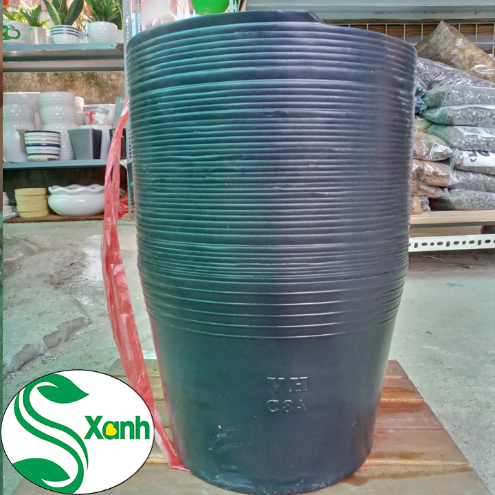 10 Chậu trồng cây C8