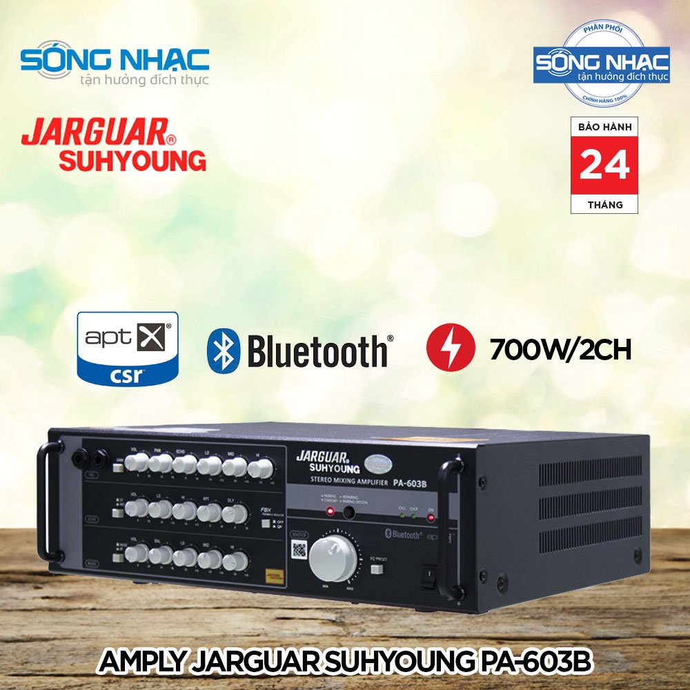 [HCM]Amply katoke JARGUAR SUHYOUNG PA 603B