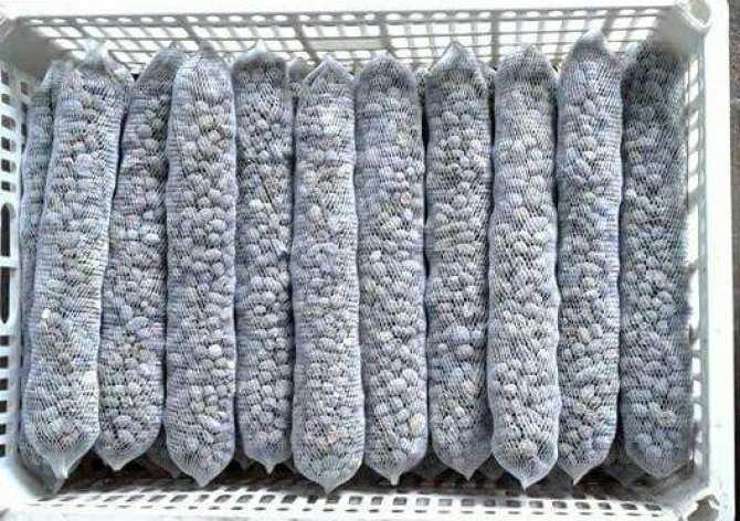 Combo 10 túi phân dê đã xử lý nấm tricho, phơi khô, đóng túi lưới 20cm