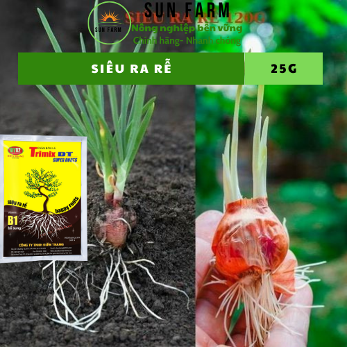 Siêu ra rễ kích rễ 25g