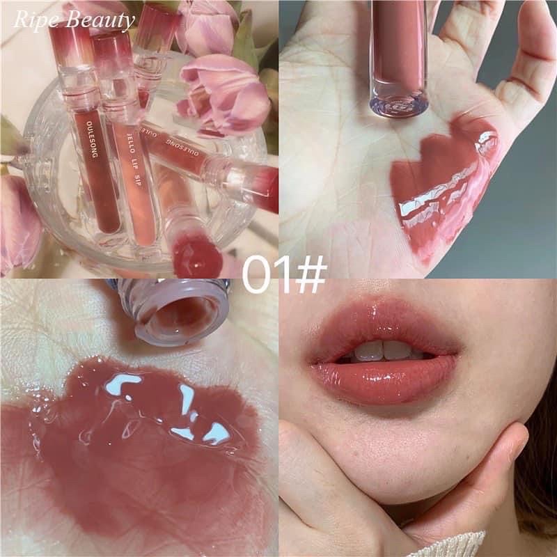[FREE SHIP] Son Kem Bóng Lỳ Oulesong bản cao cấp