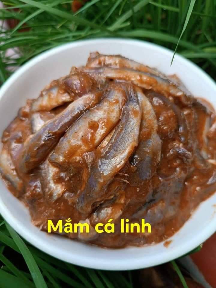 MẮM CÁ LINH ĐẶC SẢN CHÂU ĐỐC HỦ 500GR