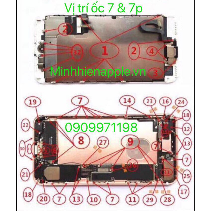 BỘ ỐC I.P.H.O.N.E 5, 5S