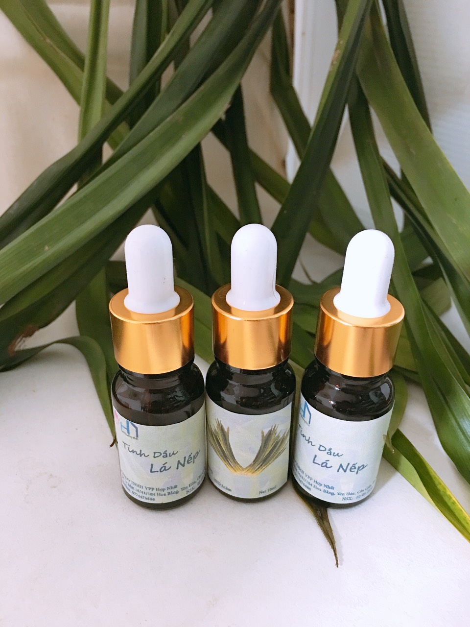 Tinh dầu lá nếp thơm lọ 10ml
