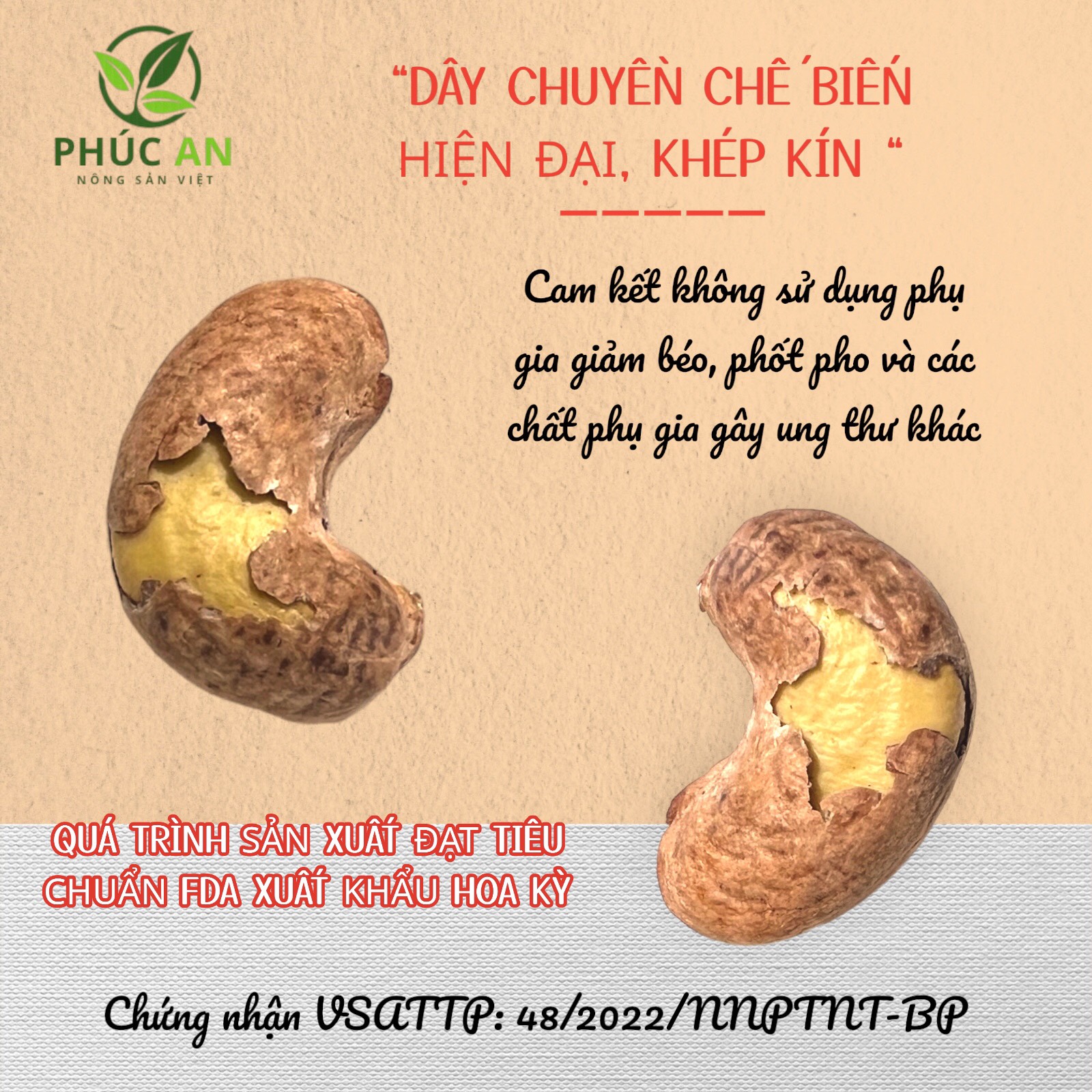 Hạt Điều Rang Muối PHÚC AN Có Vỏ Lụa 500g - Đặc Sản Bình Phước