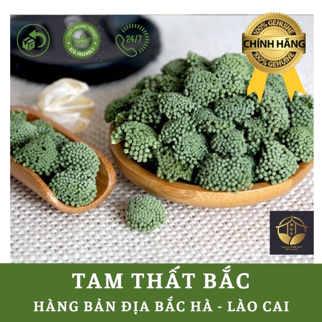 [Tặng ly thủy tinh pha trà]250gr Nụ tam thất bao tử khô thượng hạng Bắc Hà-Lào Cai BacHaFarm NUTT01 Nụ tam thất bao tử dùng khi mất ngủ, mỡ máu, huyết áp