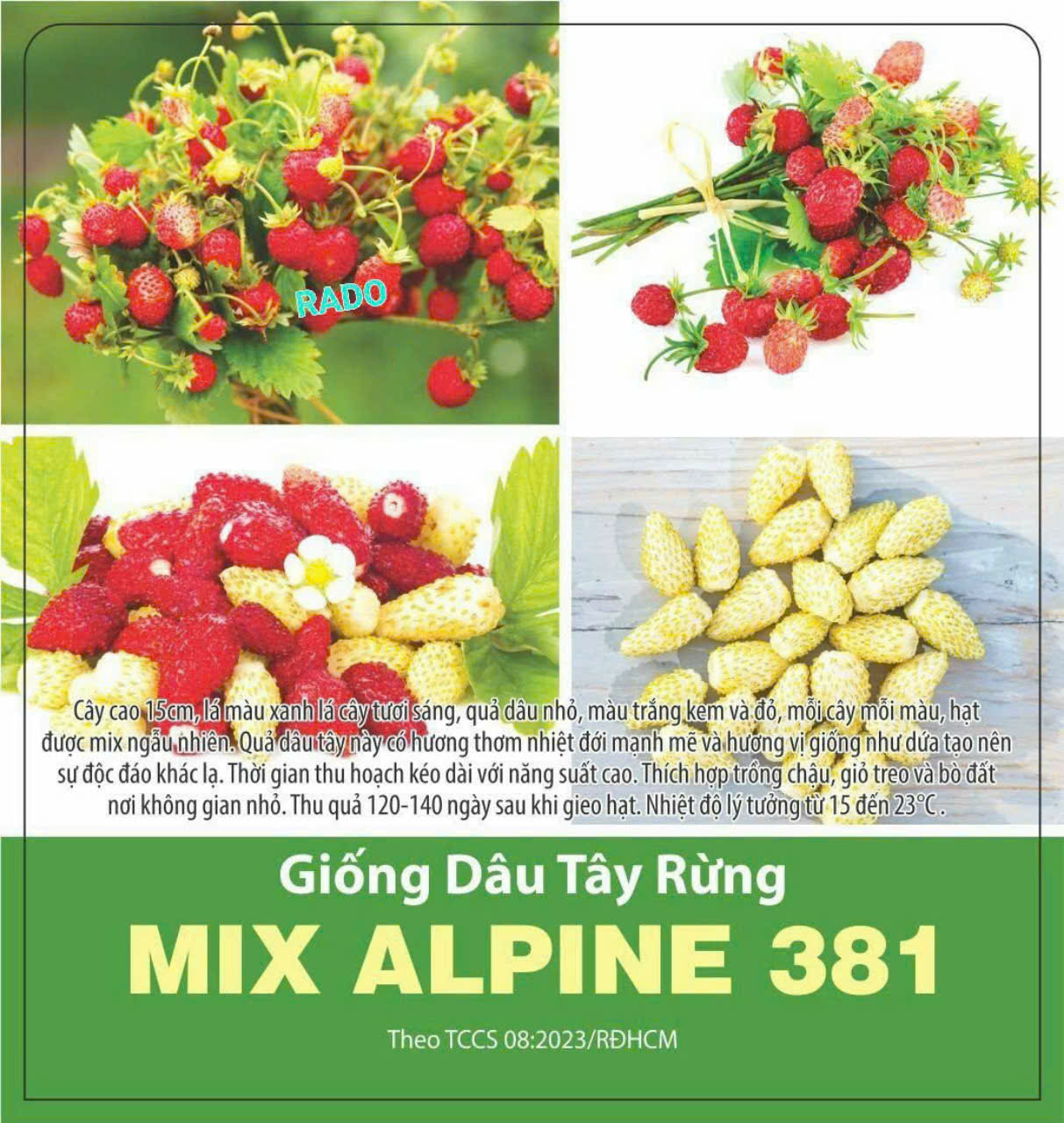 giống lá tía tô nhật