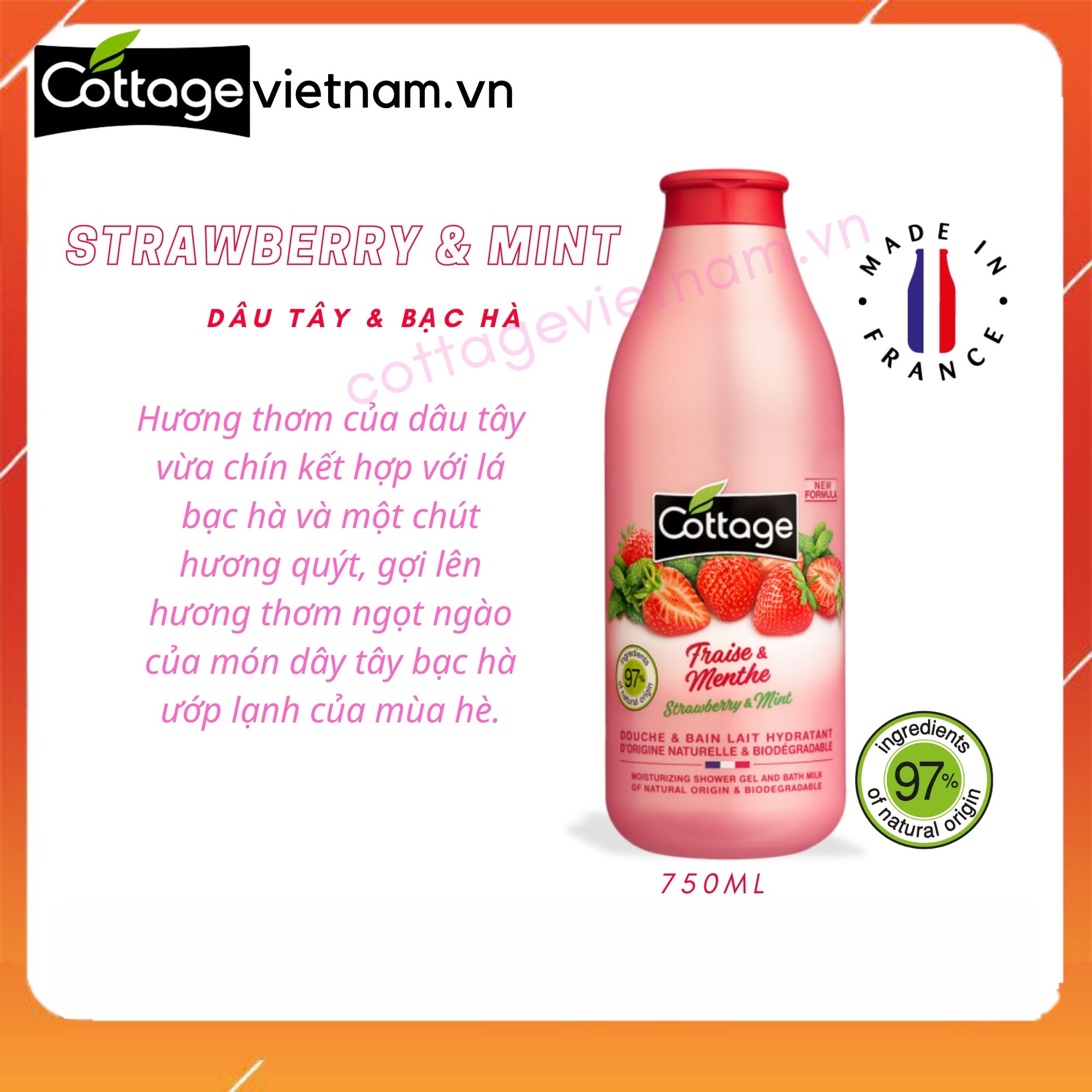 [Chai lớn 750ml-Đủ mùi]- Sữa tắm Cottage chính hãng của Pháp