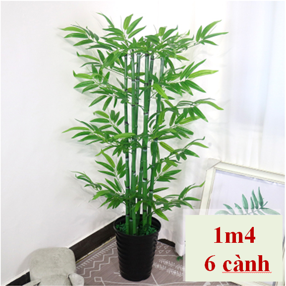 Cây Tre Cảnh