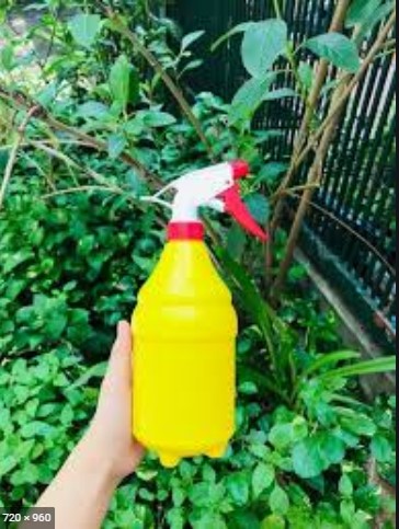 Bình tưới cây xịt 1L