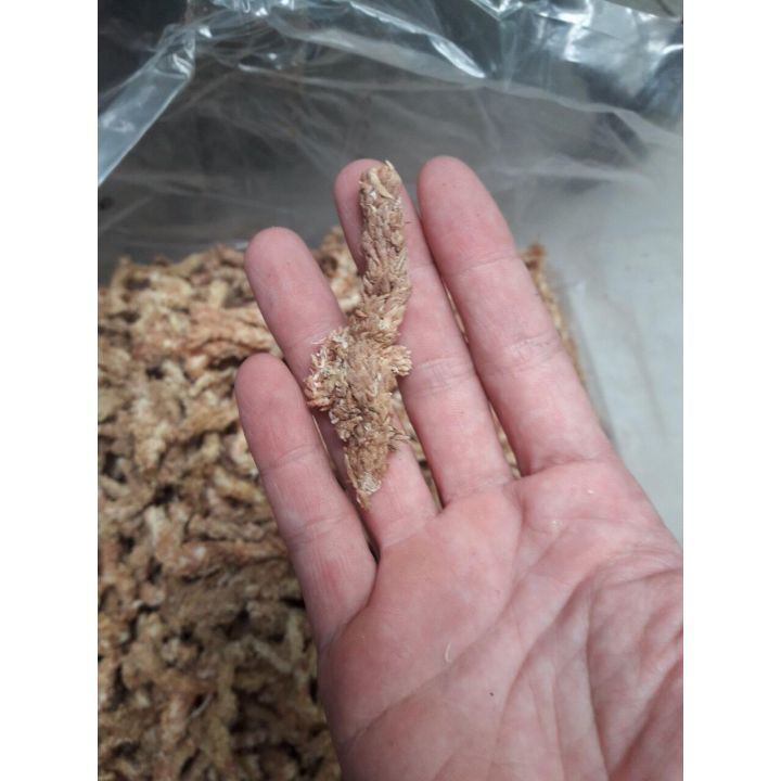 100g rêu sâu Chile chuyên dùng chồng lan