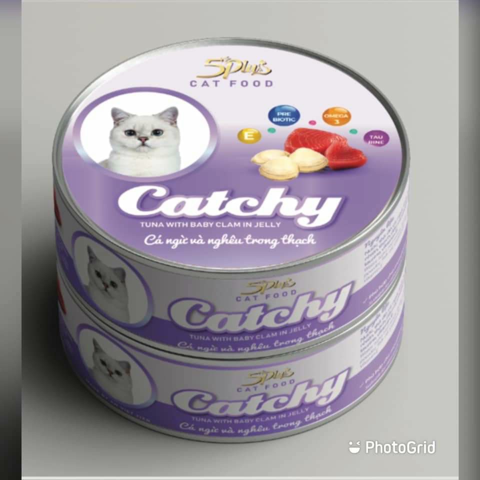 Pate mèo Catchy 5Plus dạng lon 170gram - CThanhpetshop