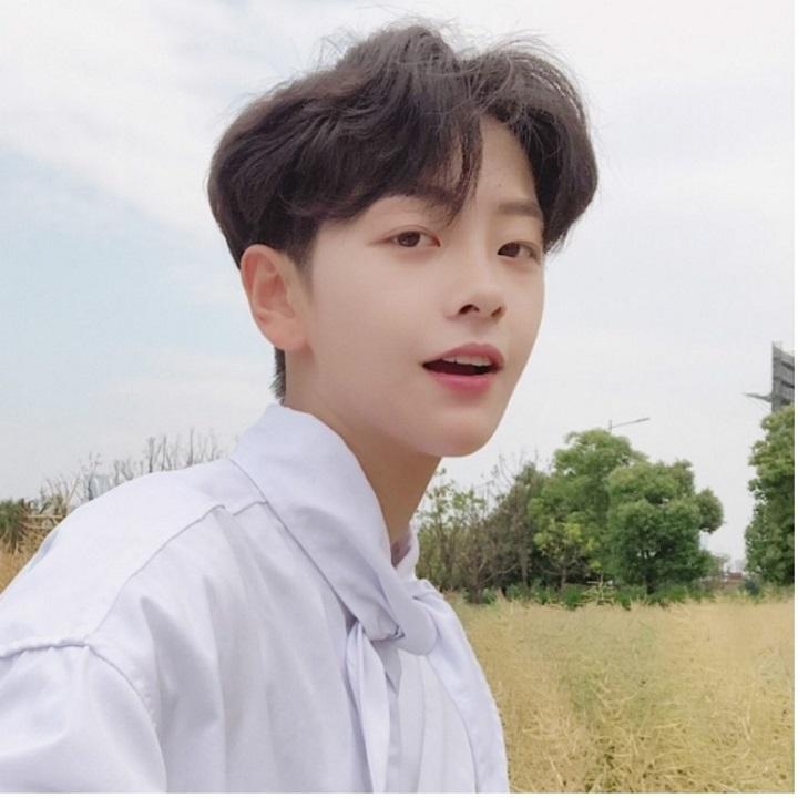 Tóc giả nam nguyên đầu làm bằng tơ mềm mượt như tóc thật (màu nâu) + tặng kèm lưới