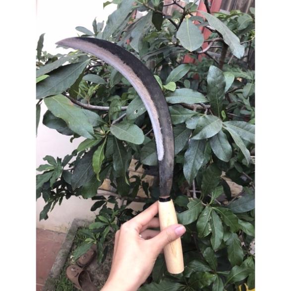 Liềm nhỏ cắt lúa cắt rau