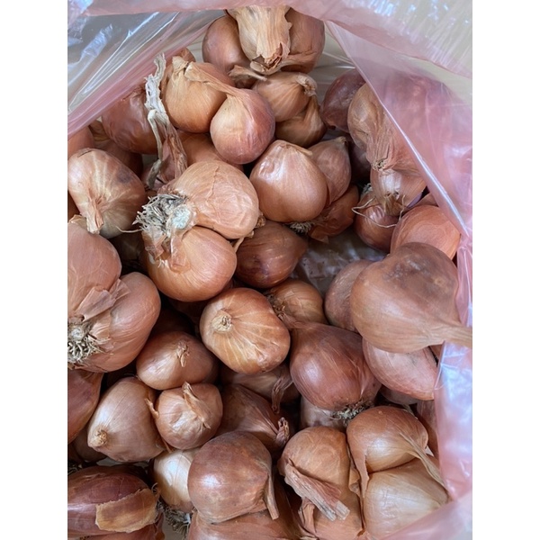 1 Kg hành khô ta thơm ngon chắc củ