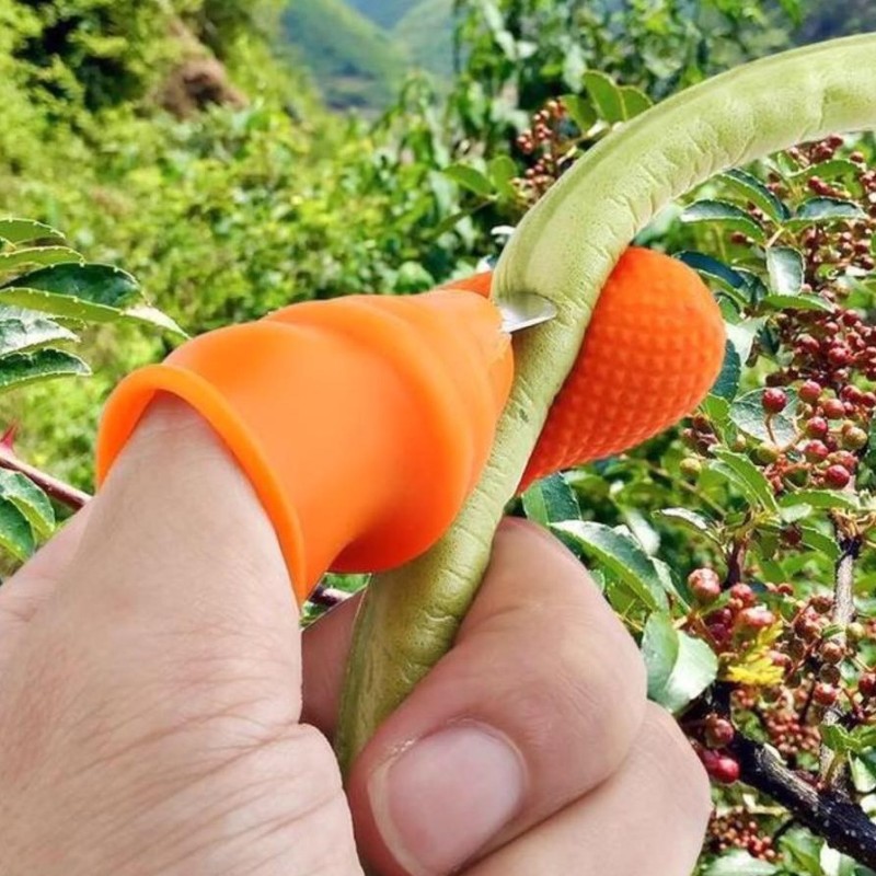 Móng tay hái rau, ngắt rau, cấu rau, nhặt rau tiện lợi gồm 1 móng sắc bén kèm 4 ngón cao su giá rẻ