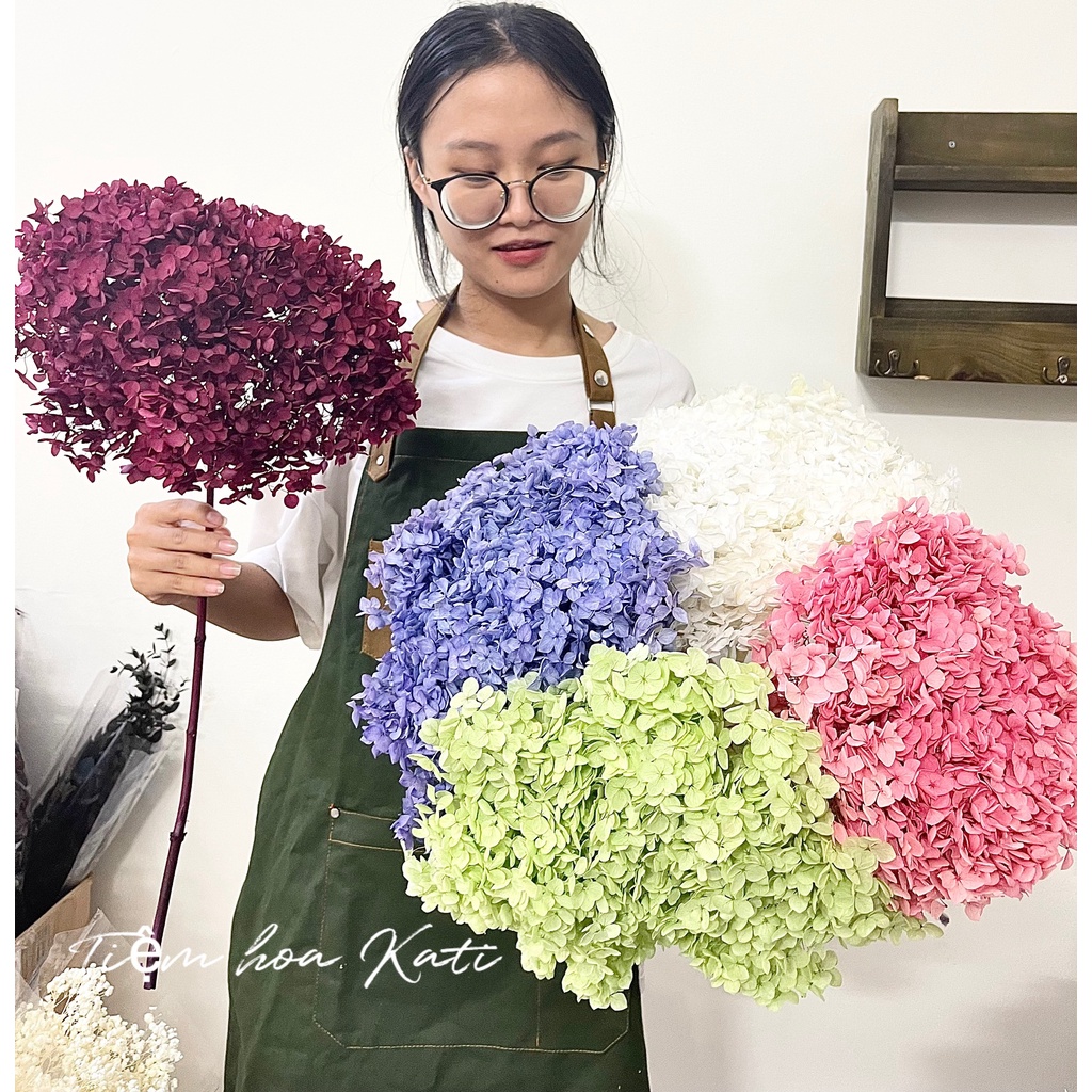 Hoa cẩm tú cầu khô, hoa khô decor trang trí