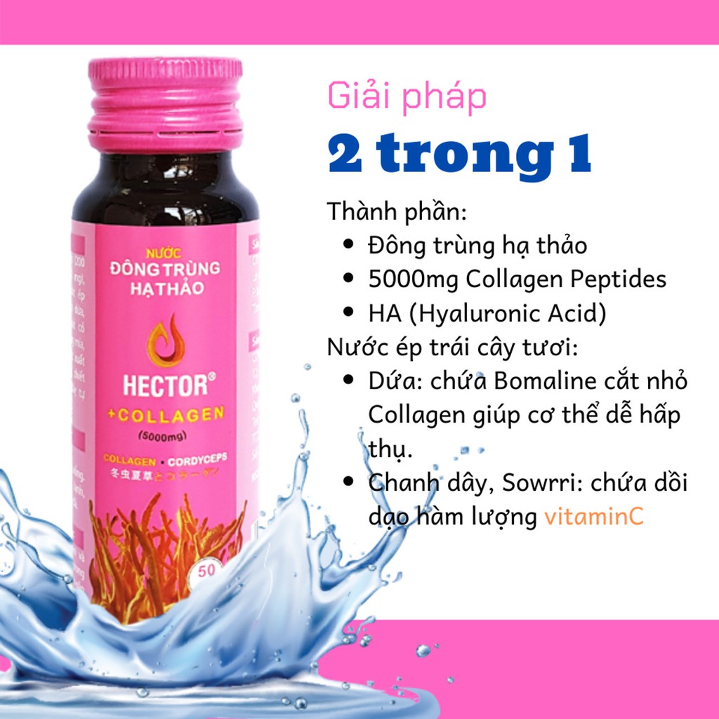 [HCM]NƯỚC UỐNG ĐÔNG TRÙNG HẠ THẢO HECTOR COLLAGEN ( COMBO 1 HỘP 10 CHAI )