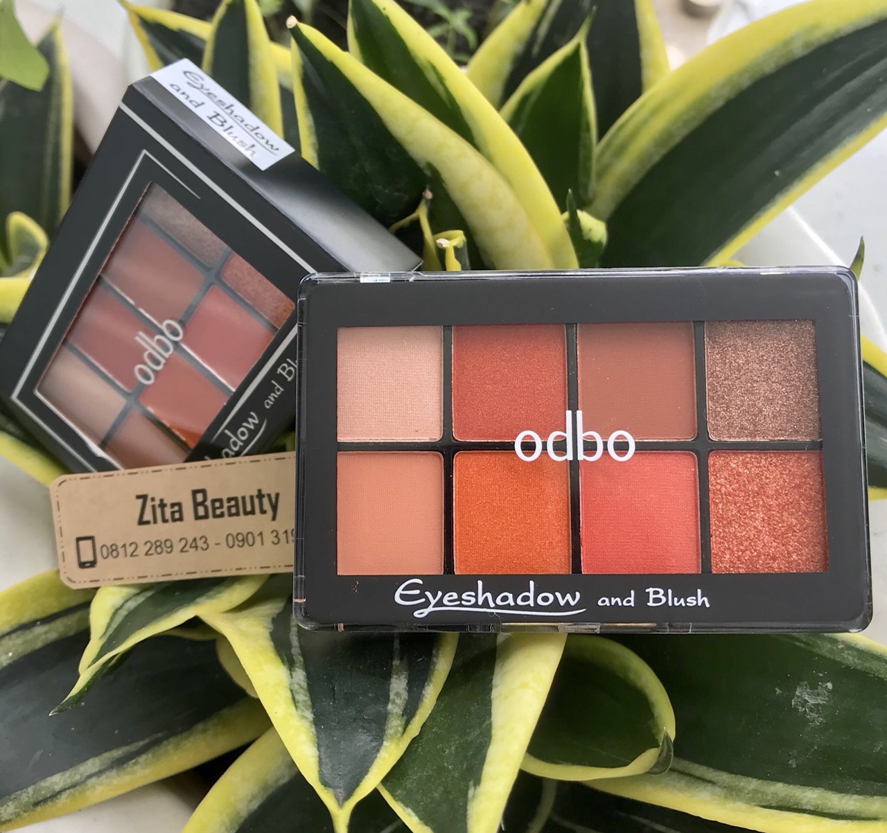 PHẤN MẮT ODBO Thái Lan  Eyeshadow & Blush ODBO(OD1022 - No6)
