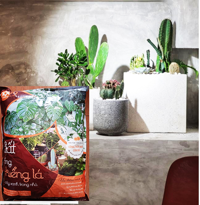 [HCM]Đất Trồng Kiểng Chất lượng cao gói 5dcm3