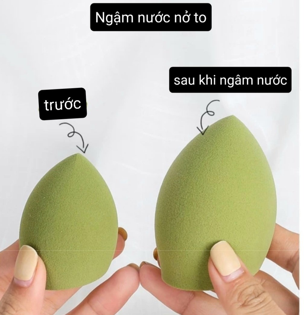 Bông mút tán kem nền, phấn nước - hàng to, đẹp