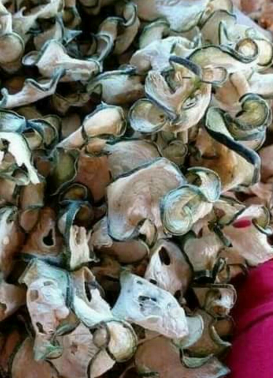 500gr Bí đao sấy khô Kon Tum