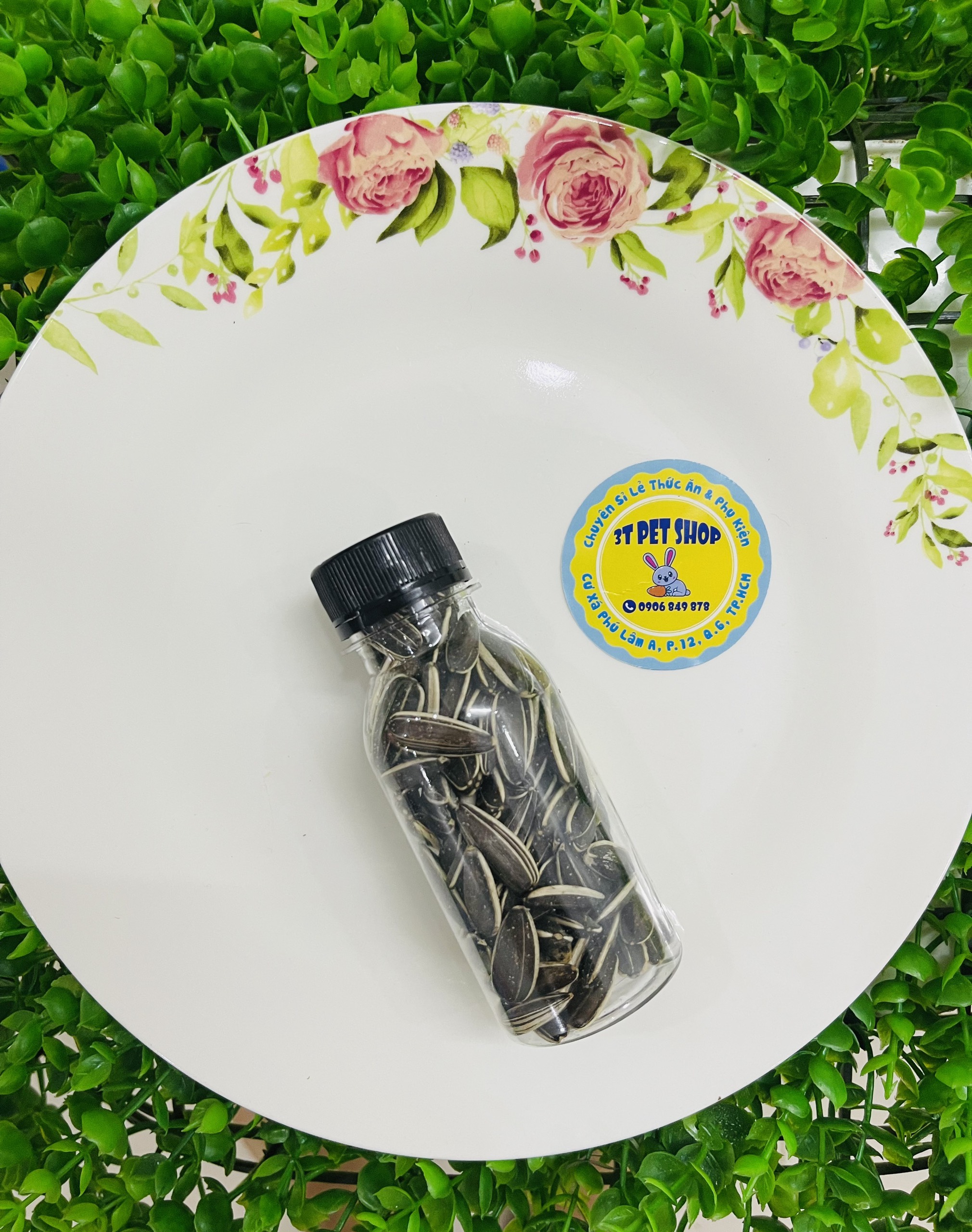 [HCM]HƯỚNG DƯƠNG HẠT LỚN ( THỨC ĂN DẶM CHO HAMSTER )