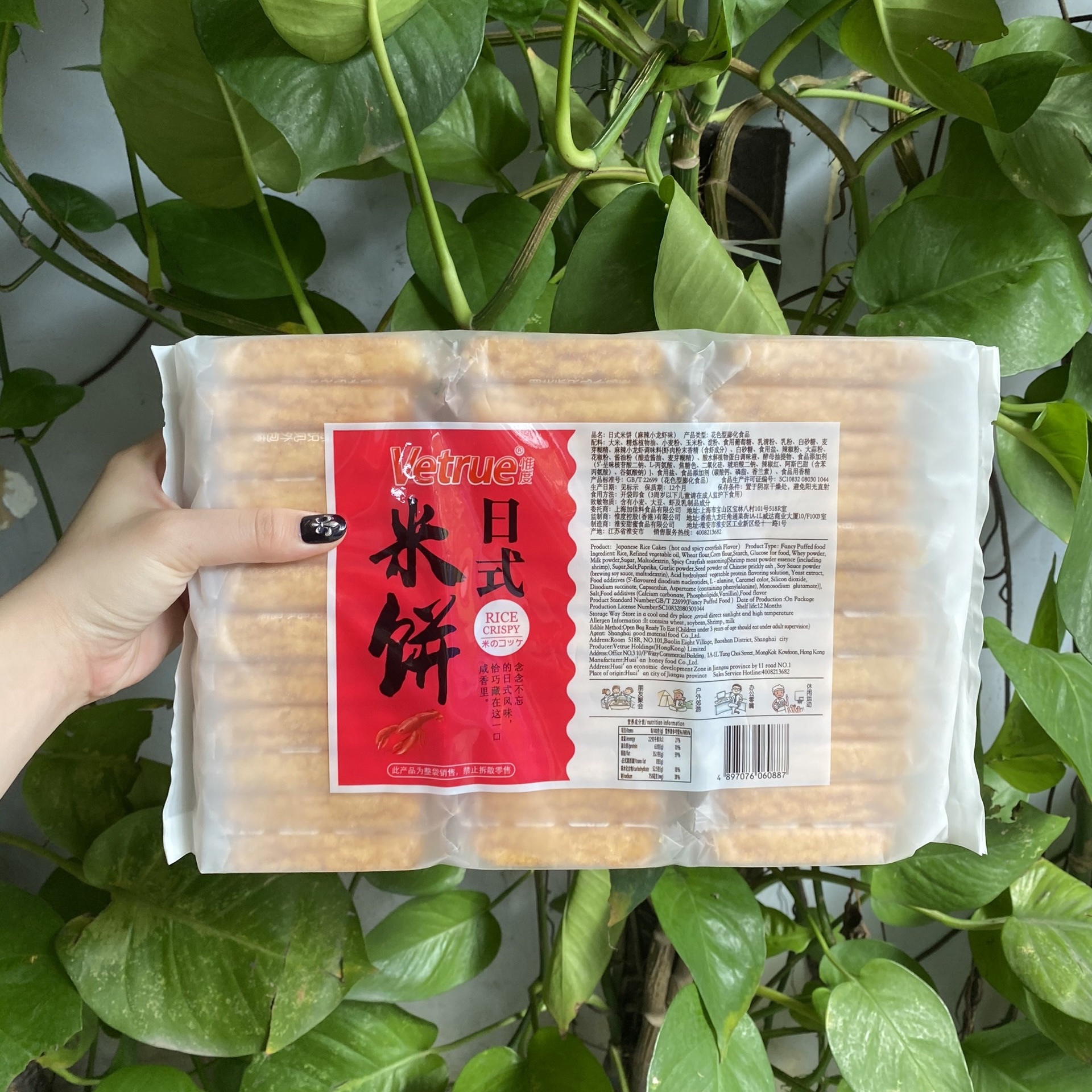 Vetrue Rice Cake with Lobster Flavor (300g Pack)
