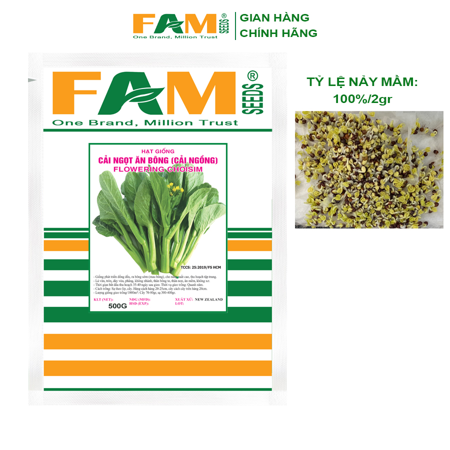 Gói 500gr Hạt Giống Cải Ngọt Ăn Bông (Cải Ngồng) FAM SEEDS - Nhập khẩu New Zealand, Nảy mầm và sinh trưởng rất đều, Chống chịu tốt, Dễ chăm dễ thích nghi, Năng suất cao, Thân to mập, Không xơ