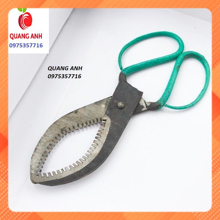 KÉO KHOANH CÀNH CÂY ĂN QUẢ - CÓ RĂNG CƯA